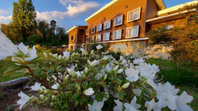  Hotel Lodge Las Cascadas  Пуэрто-Варас
